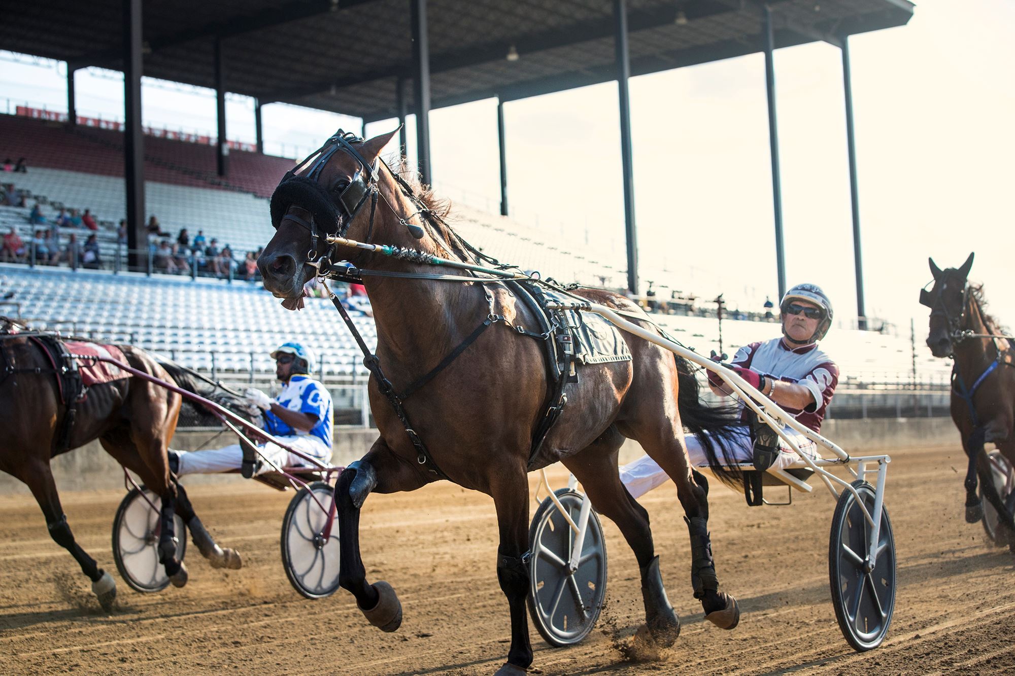 Harness Racing Indiana State Fair Governor's Cup Series Finals