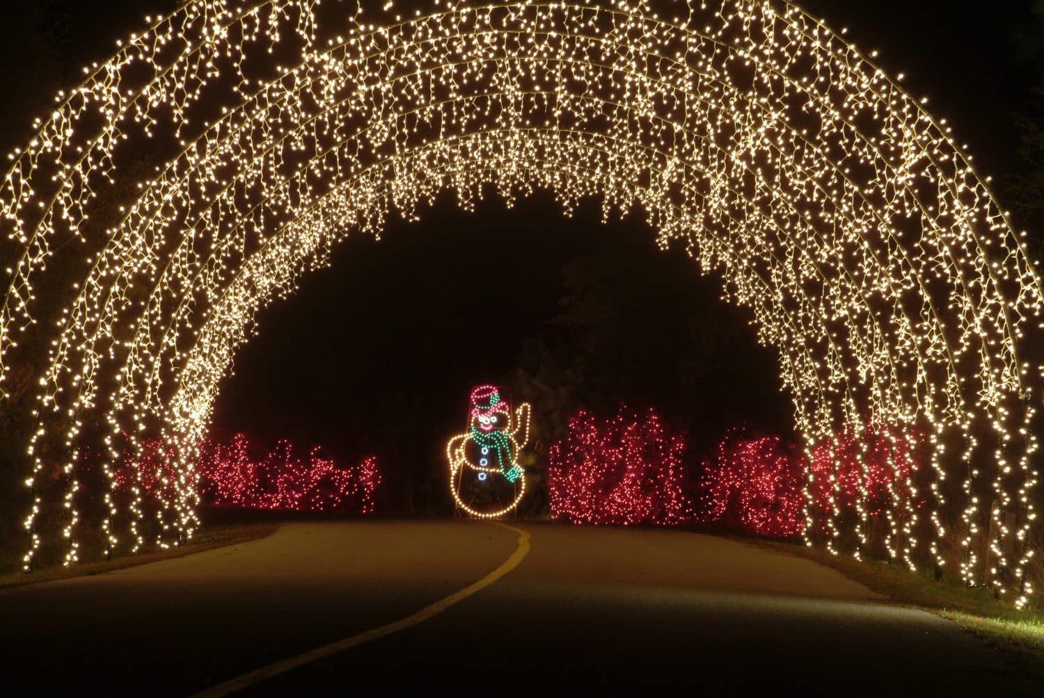 Liberty Light Show Pheasant Valley Church