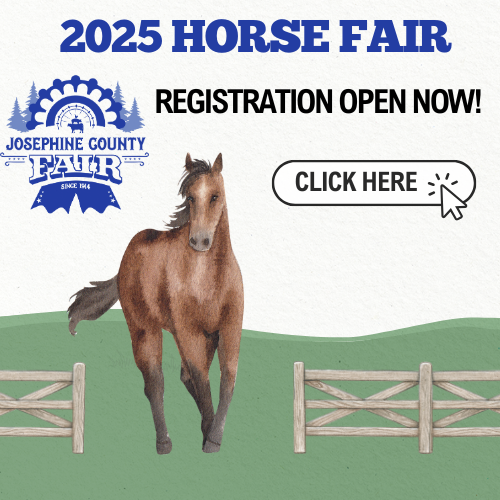 Horse Fair Registration