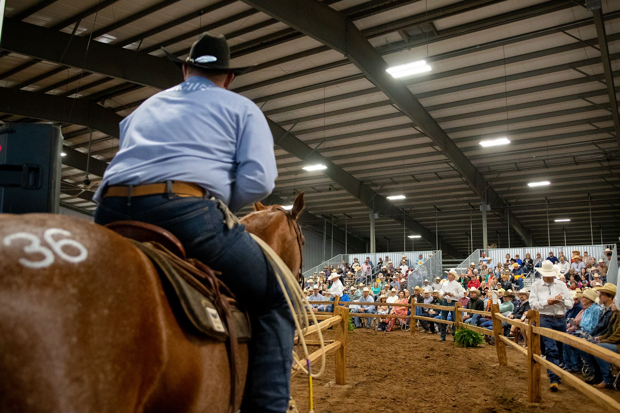 Ranch Horse Sale