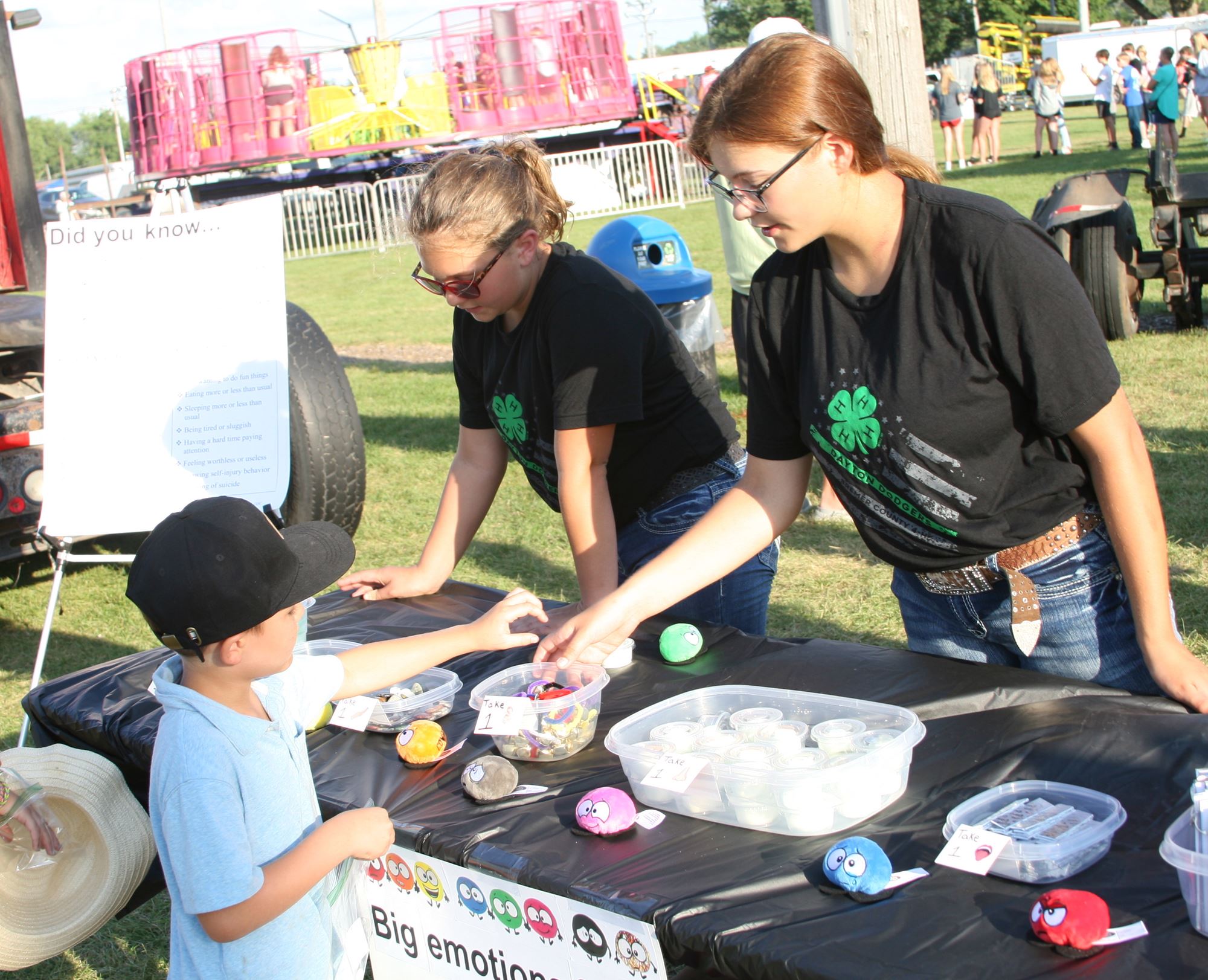 4H Working Exhibits