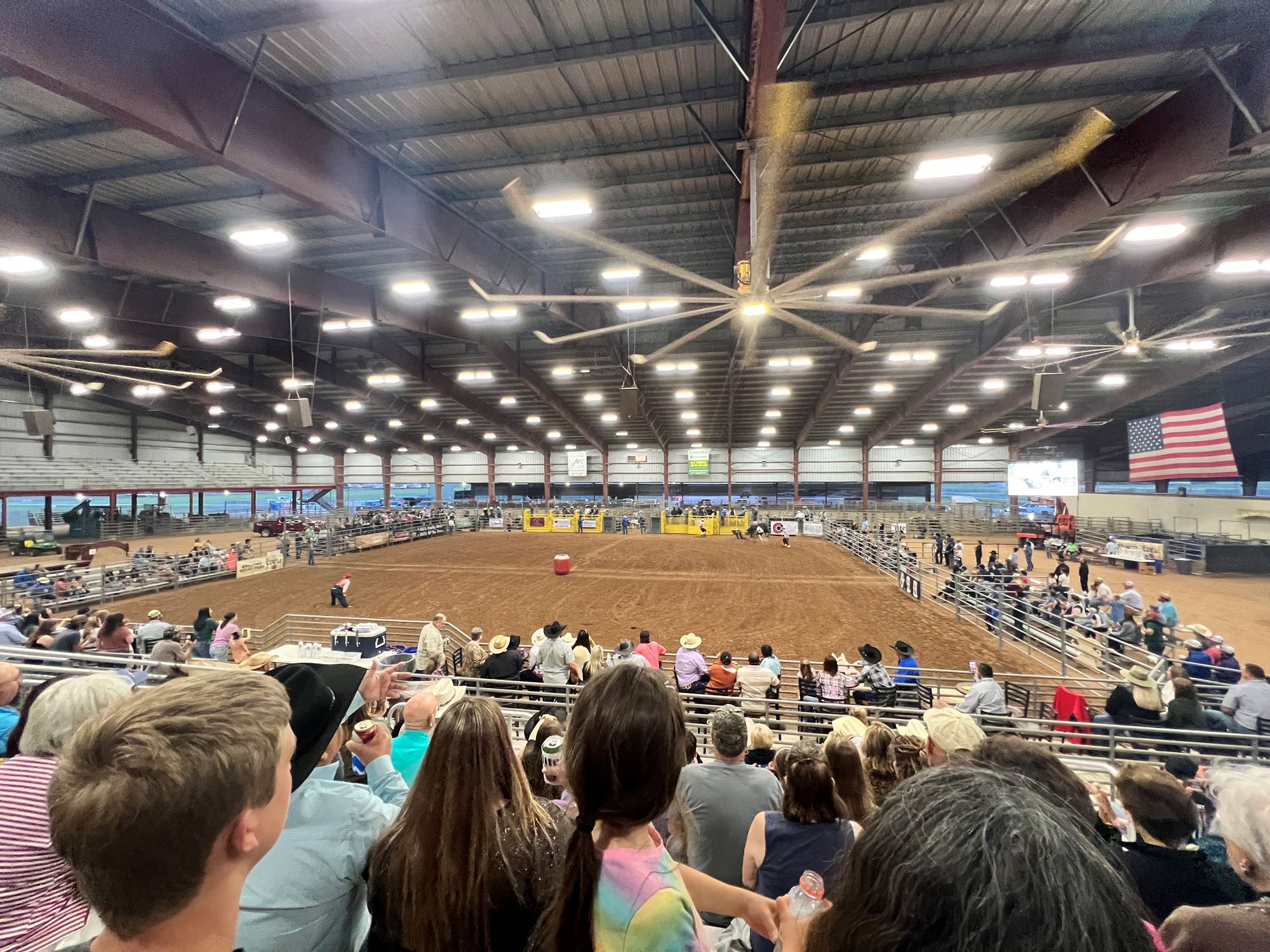 Red, White, and Bulls