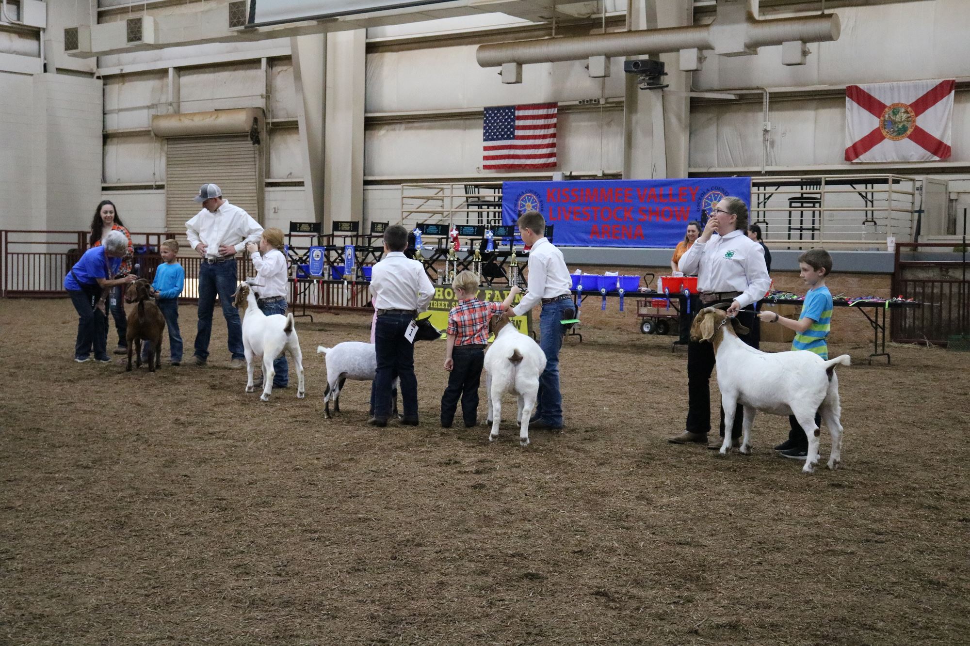 Youth Breeding Goat Show