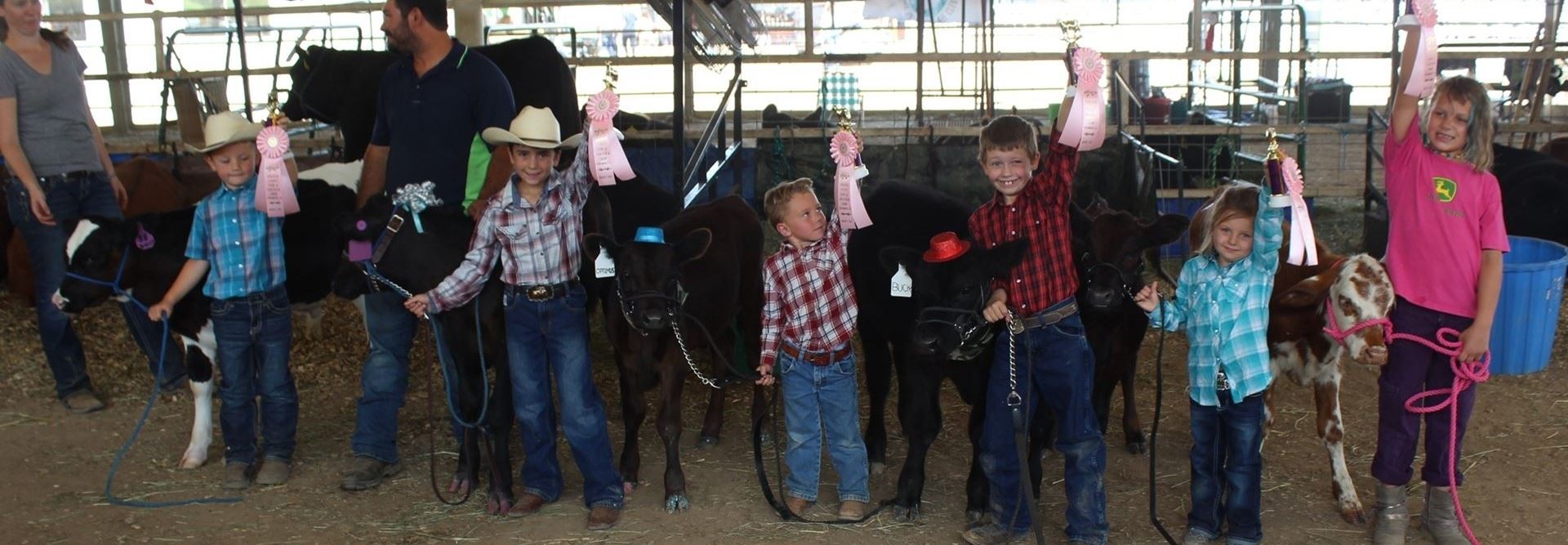 Bucket Calf Show