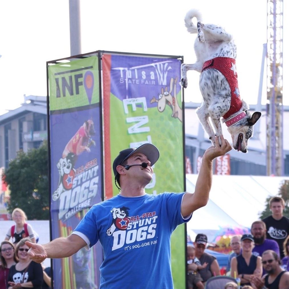 Perdonid's Dog Show - Tulsa State Fair 2024