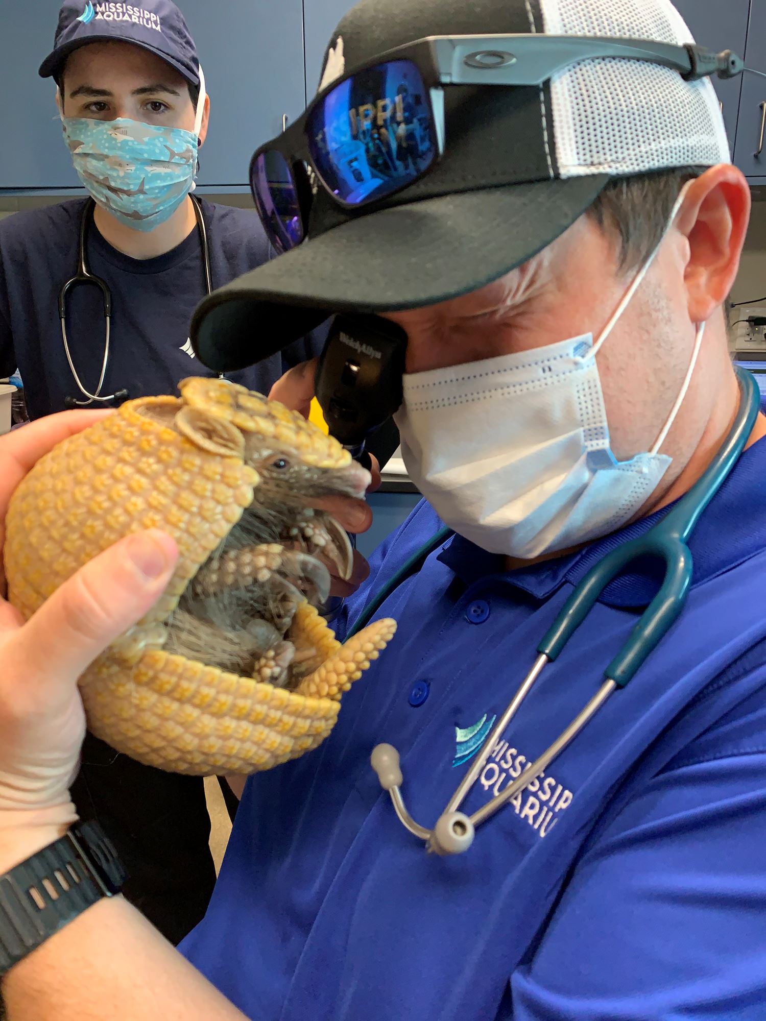 Mississippi Aquarium Veterinary Team