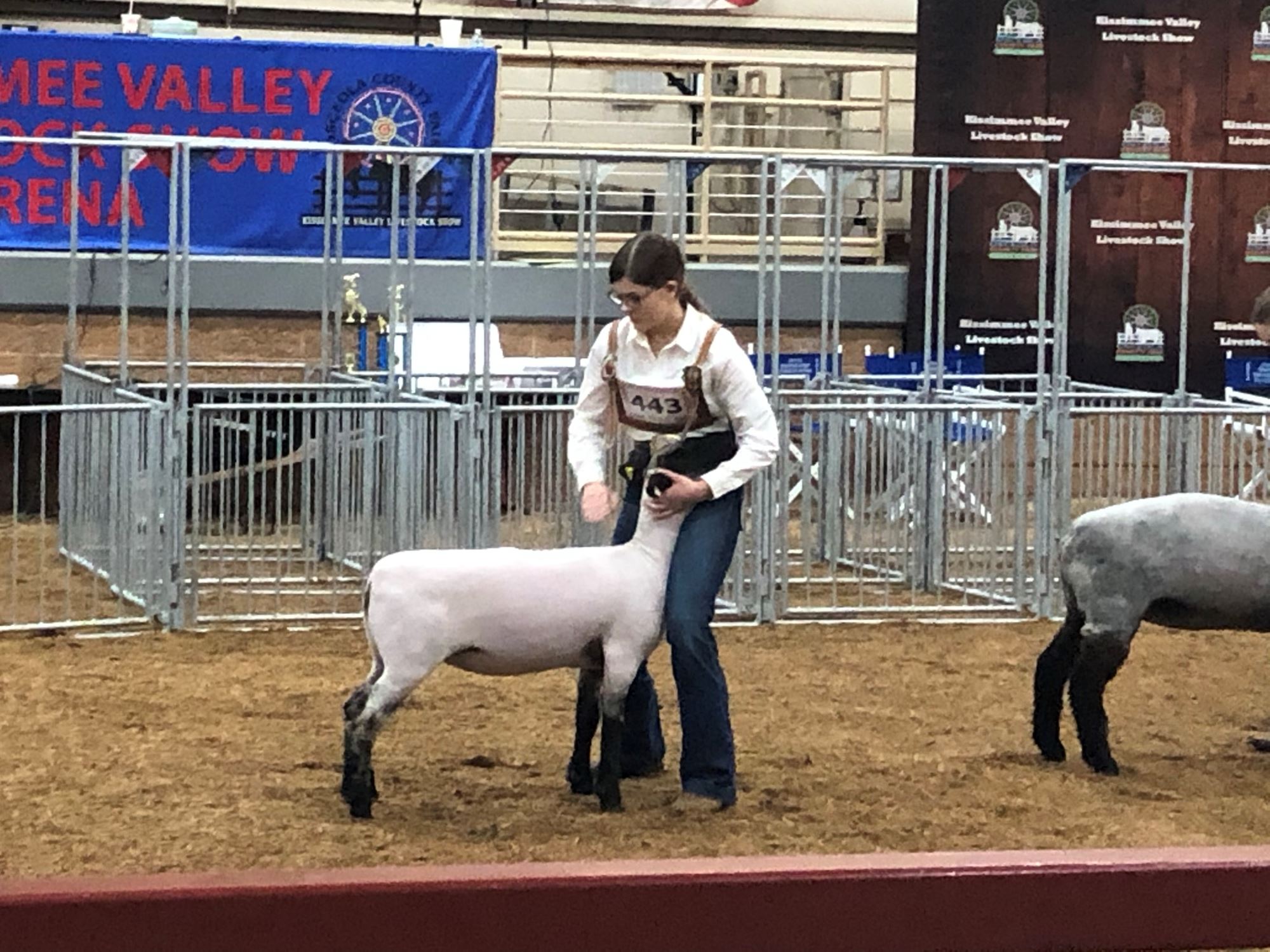 YOUTH LIVESTOCK SHOWS