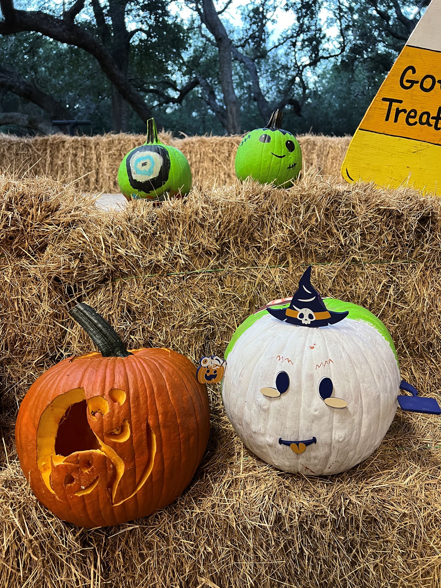 Carved/Decorated Pumpkin Contest