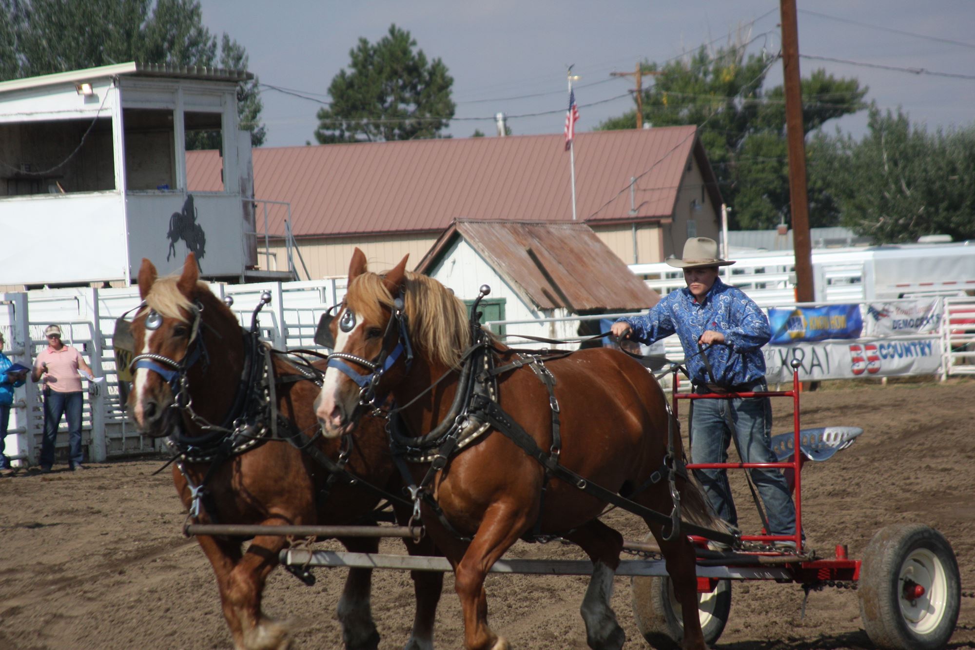 Routt County Fair Schedule