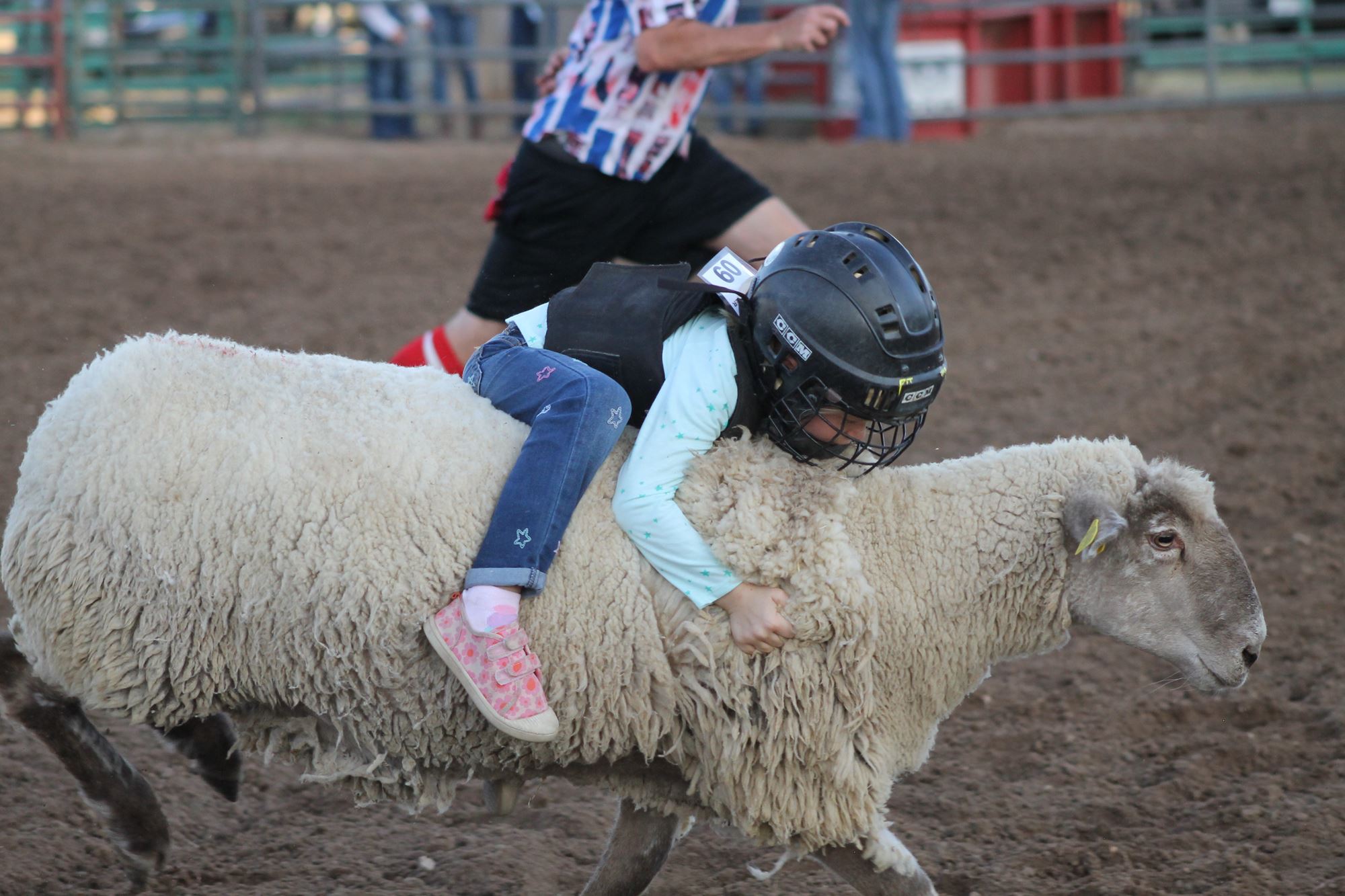 Mutton Bustin'