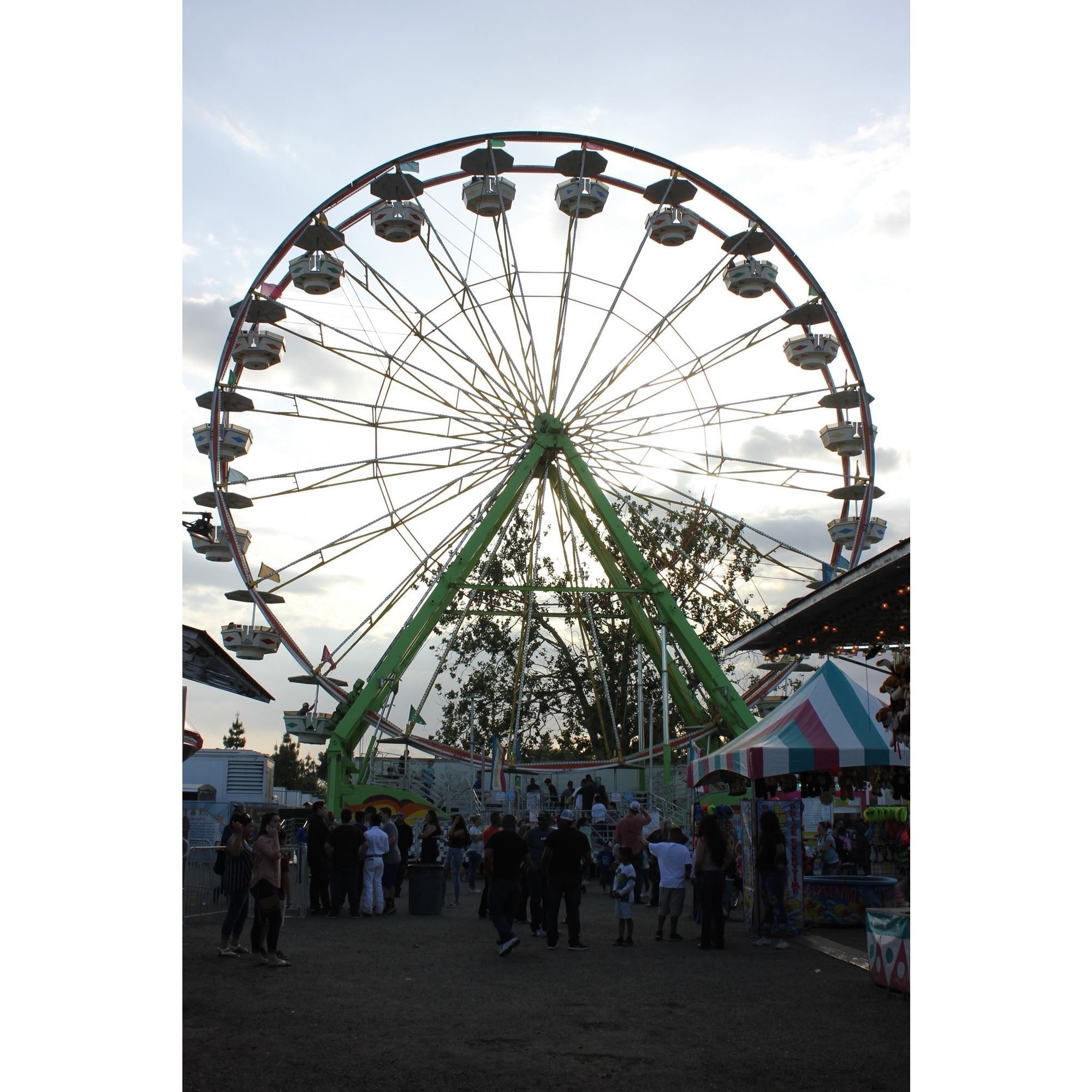 Glenn County Fair