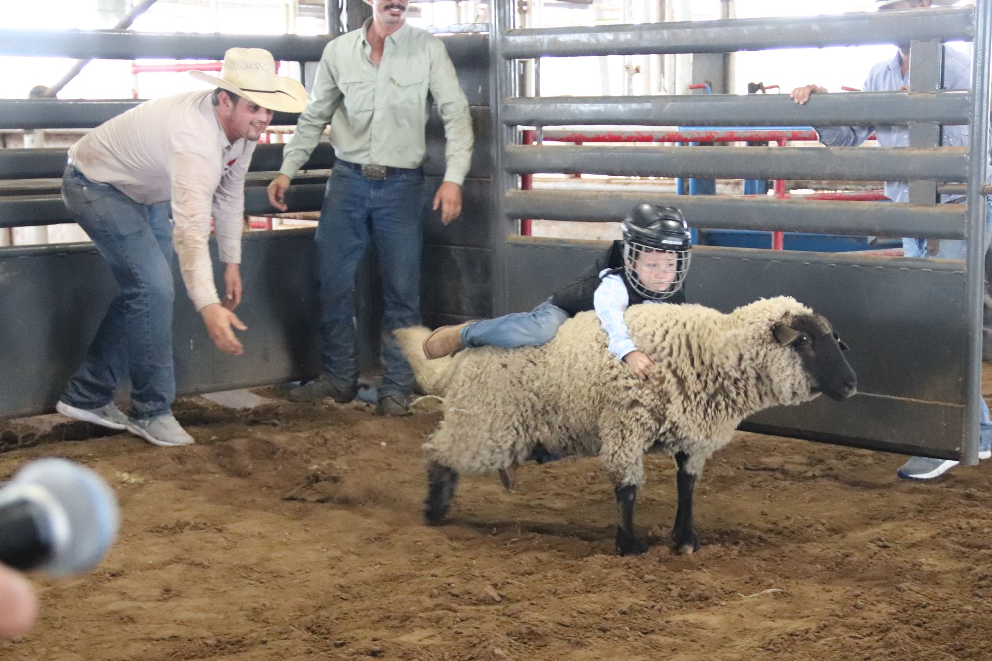 2024 Summer Series Mutton Bustin