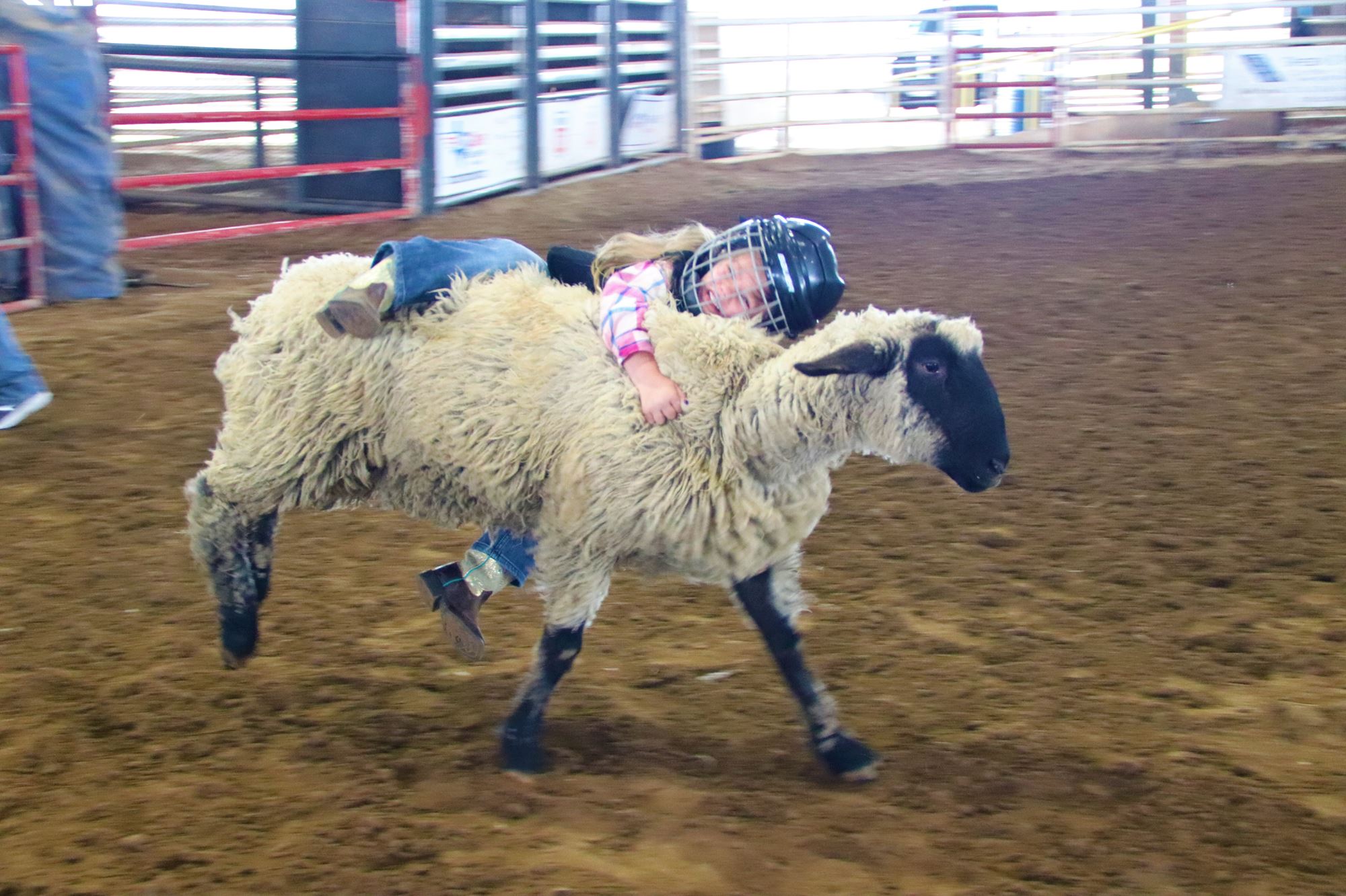 2024 Summer Series Mutton Bustin