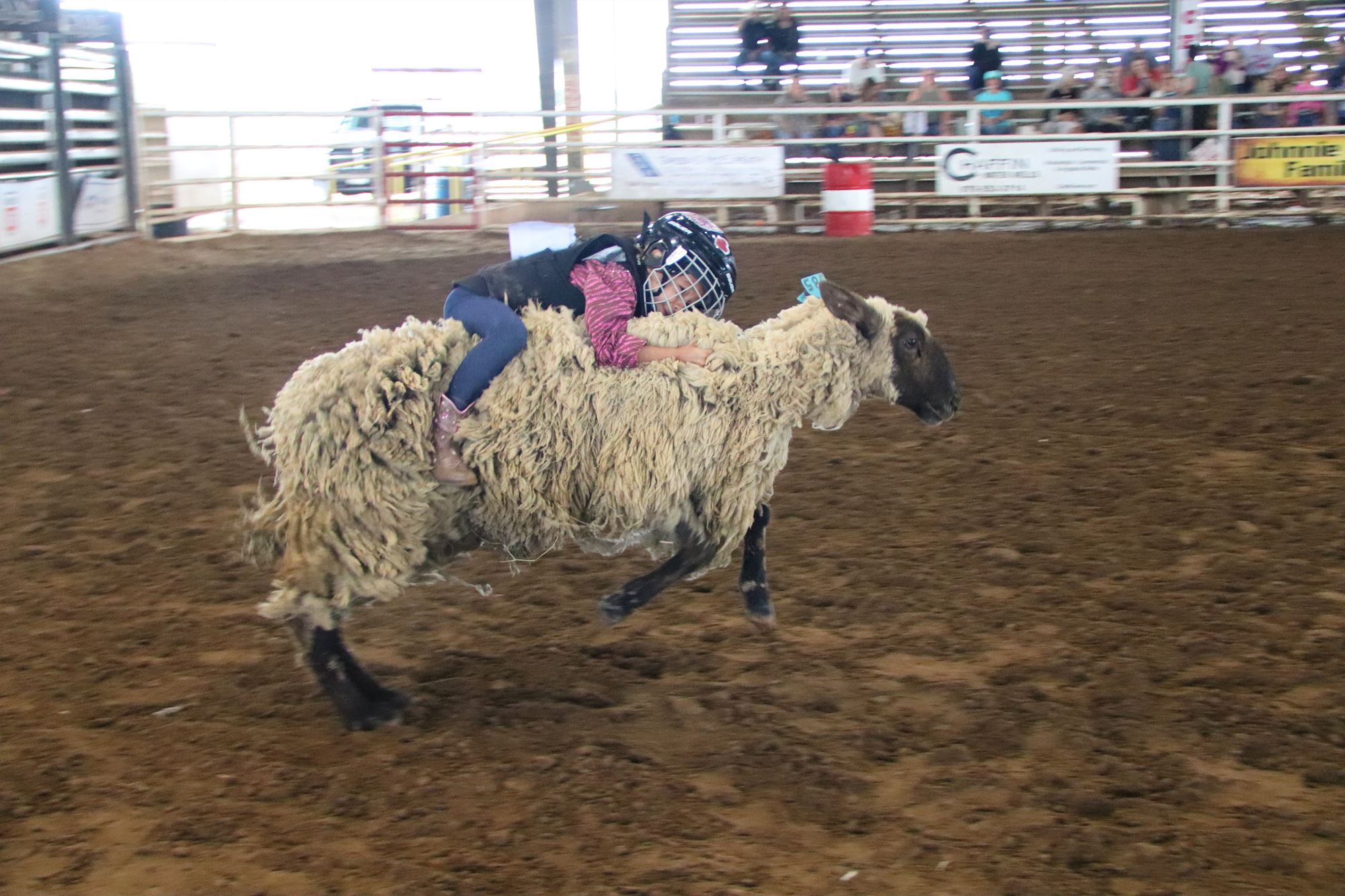 2024 Summer Series Mutton Bustin