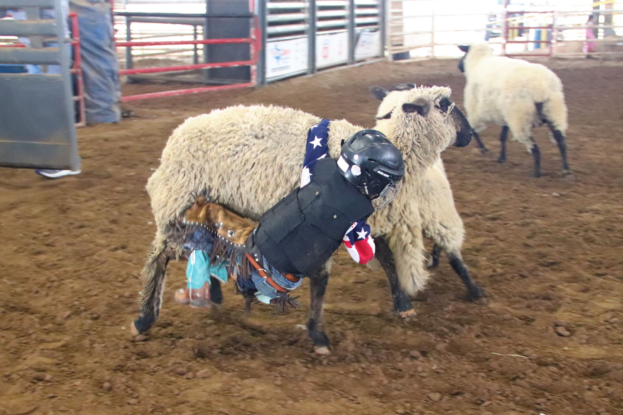 2024 Summer Series Mutton Bustin