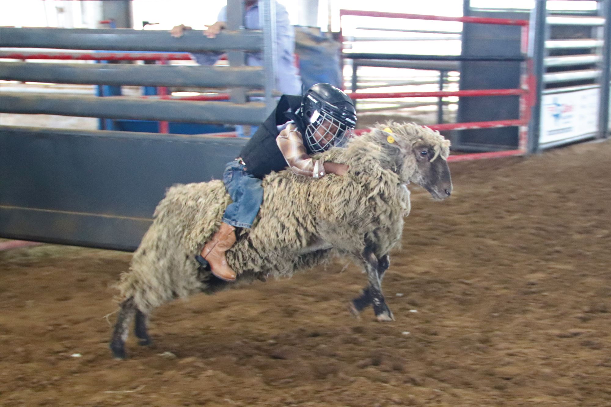 2024 Summer Series Mutton Bustin