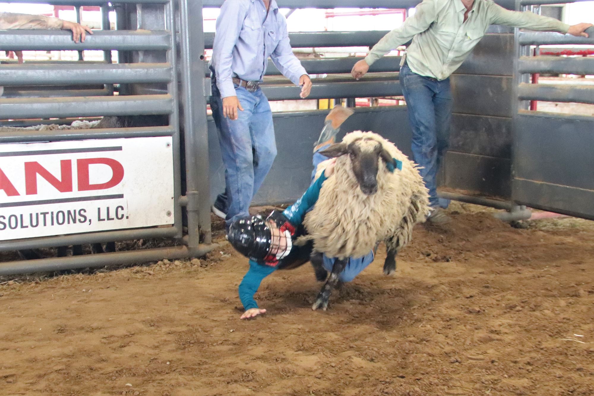 2024 Summer Series Mutton Bustin