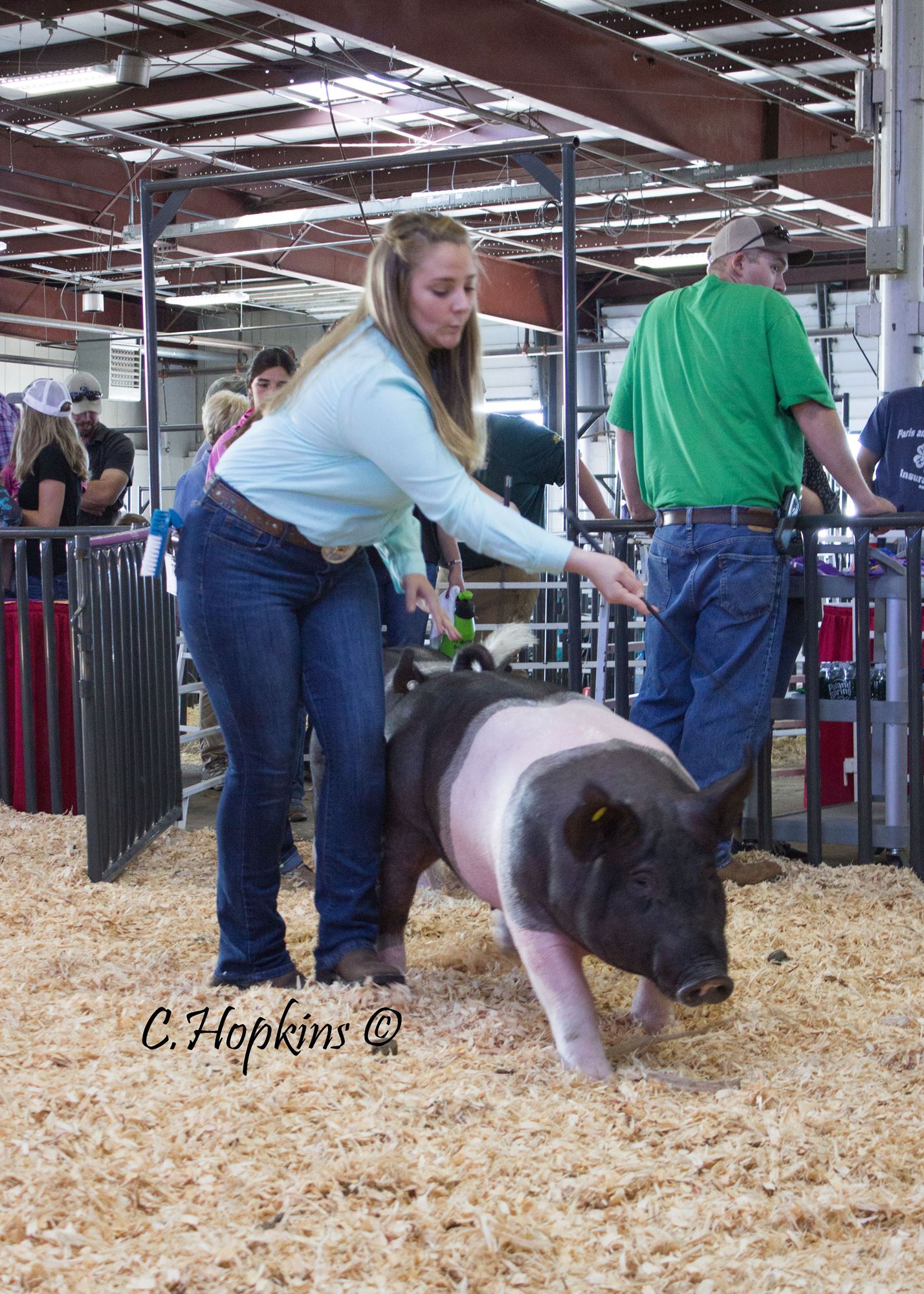 swine show shirts