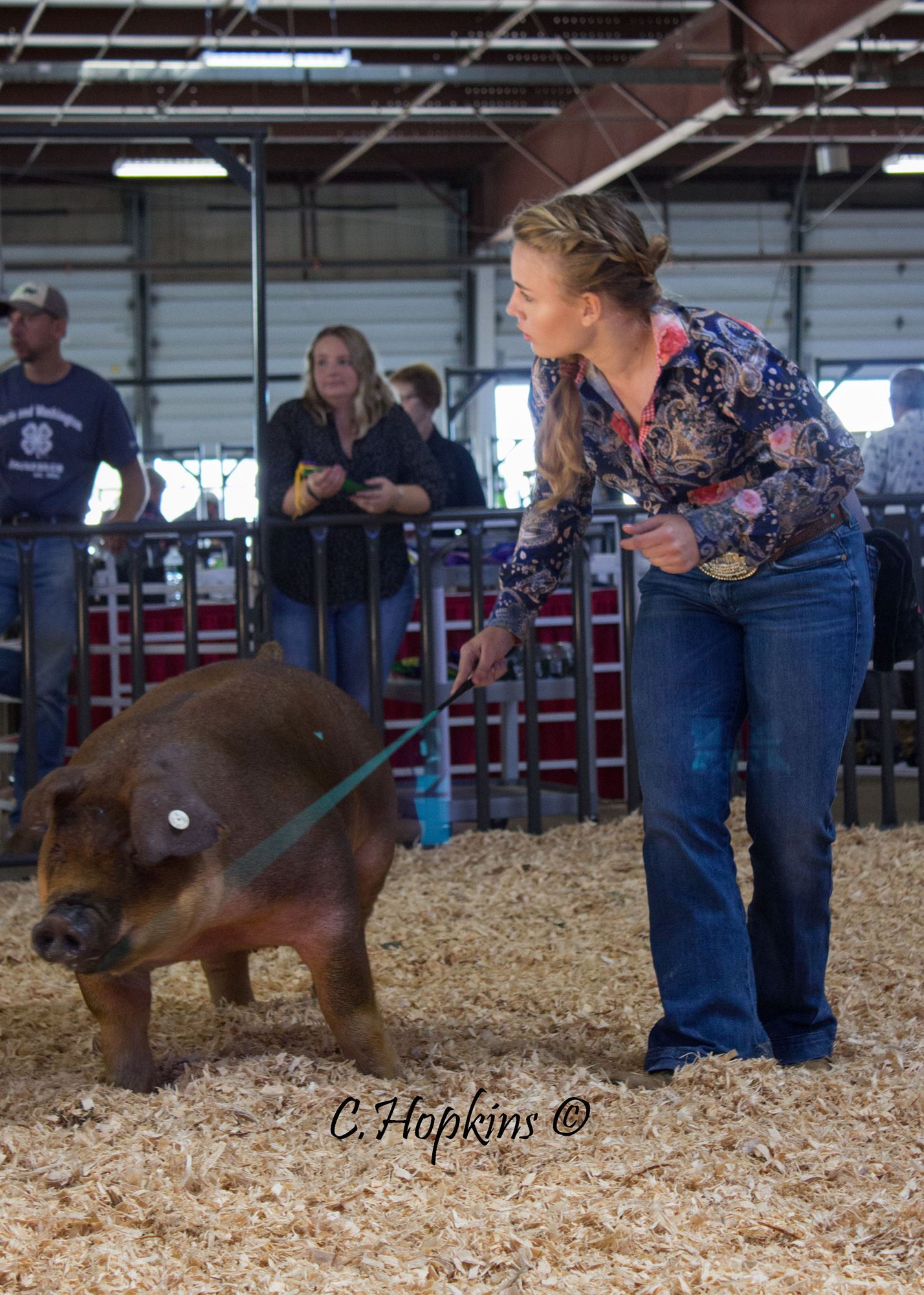 swine show shirts