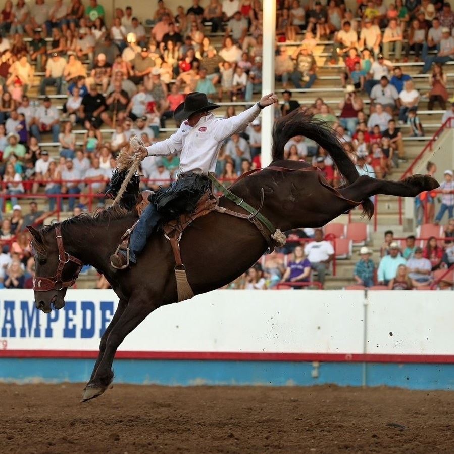 PRCA Rodeo Series