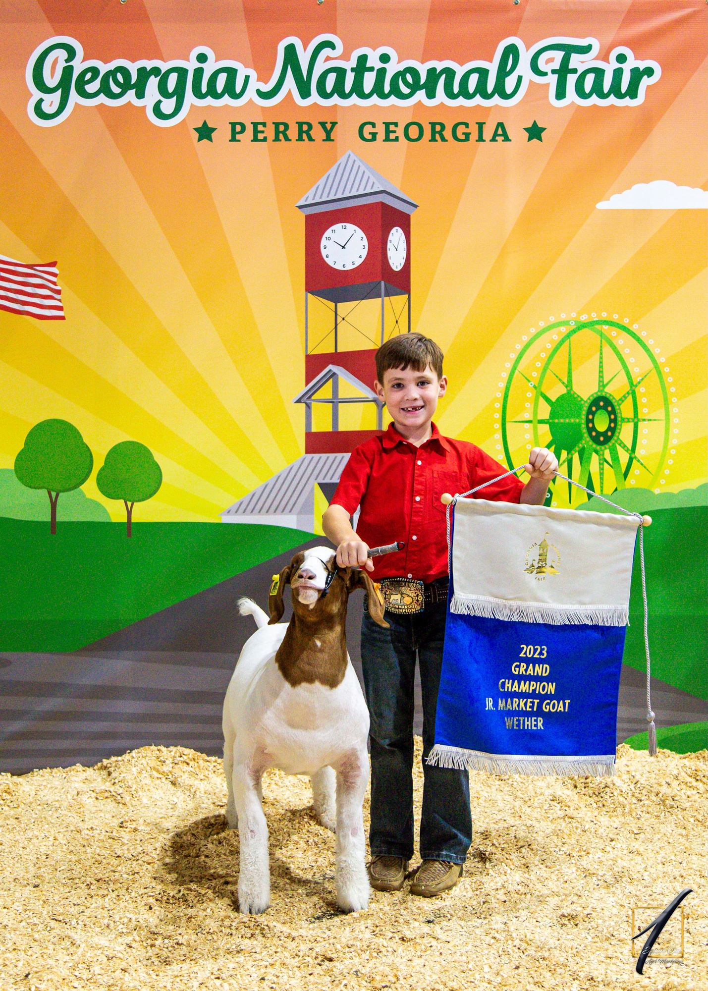 Livestock Champions