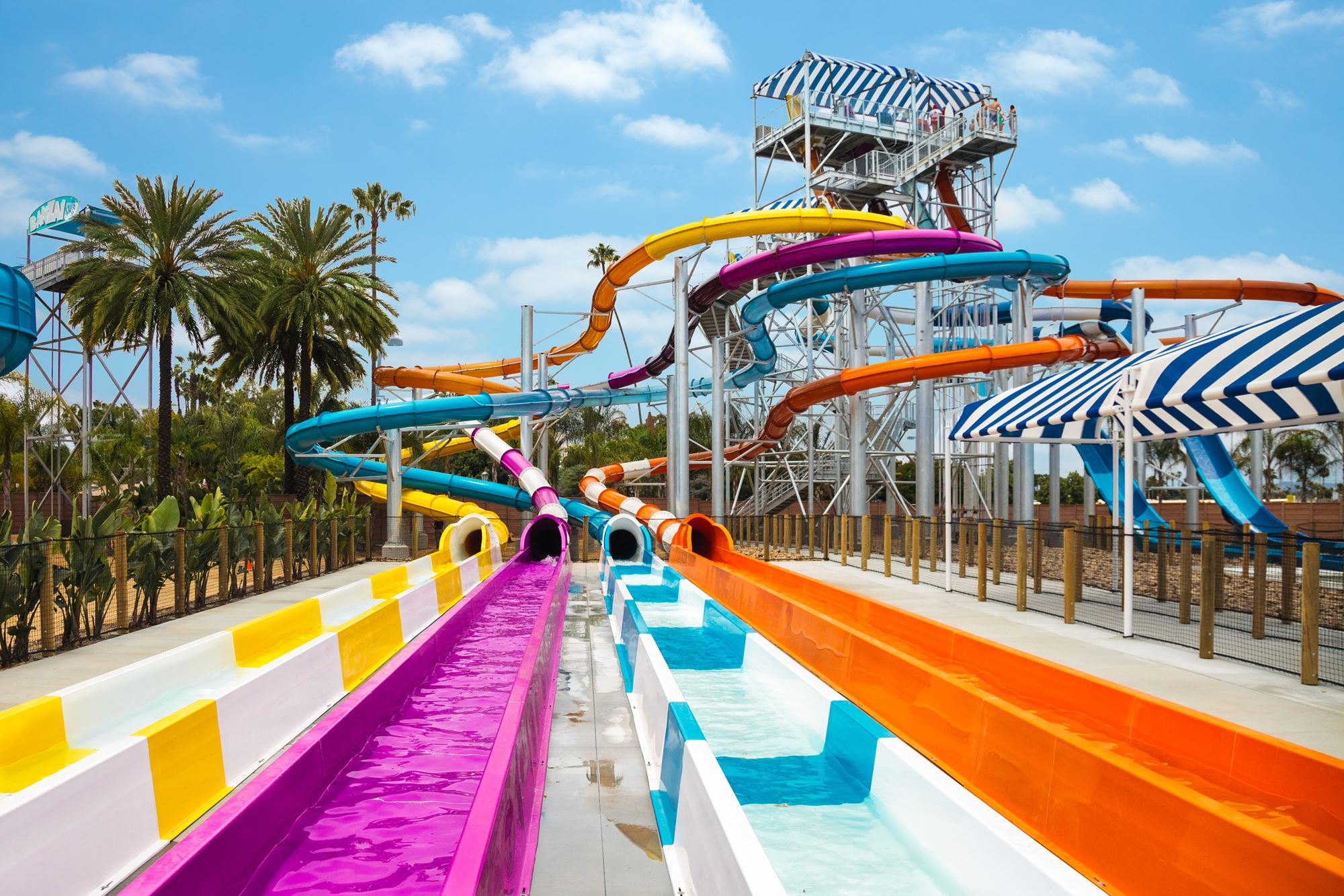 Kids enjoying water slides at a family-friendly water park