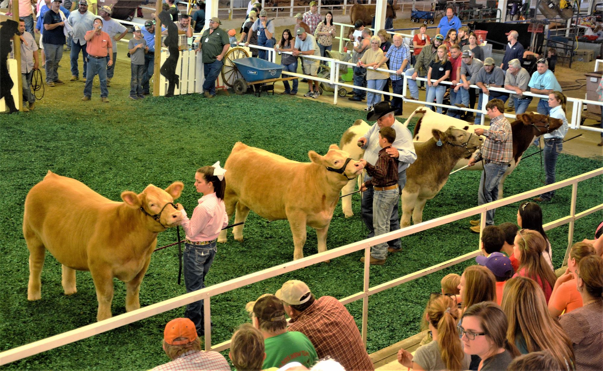 2024 Livestock Schedule