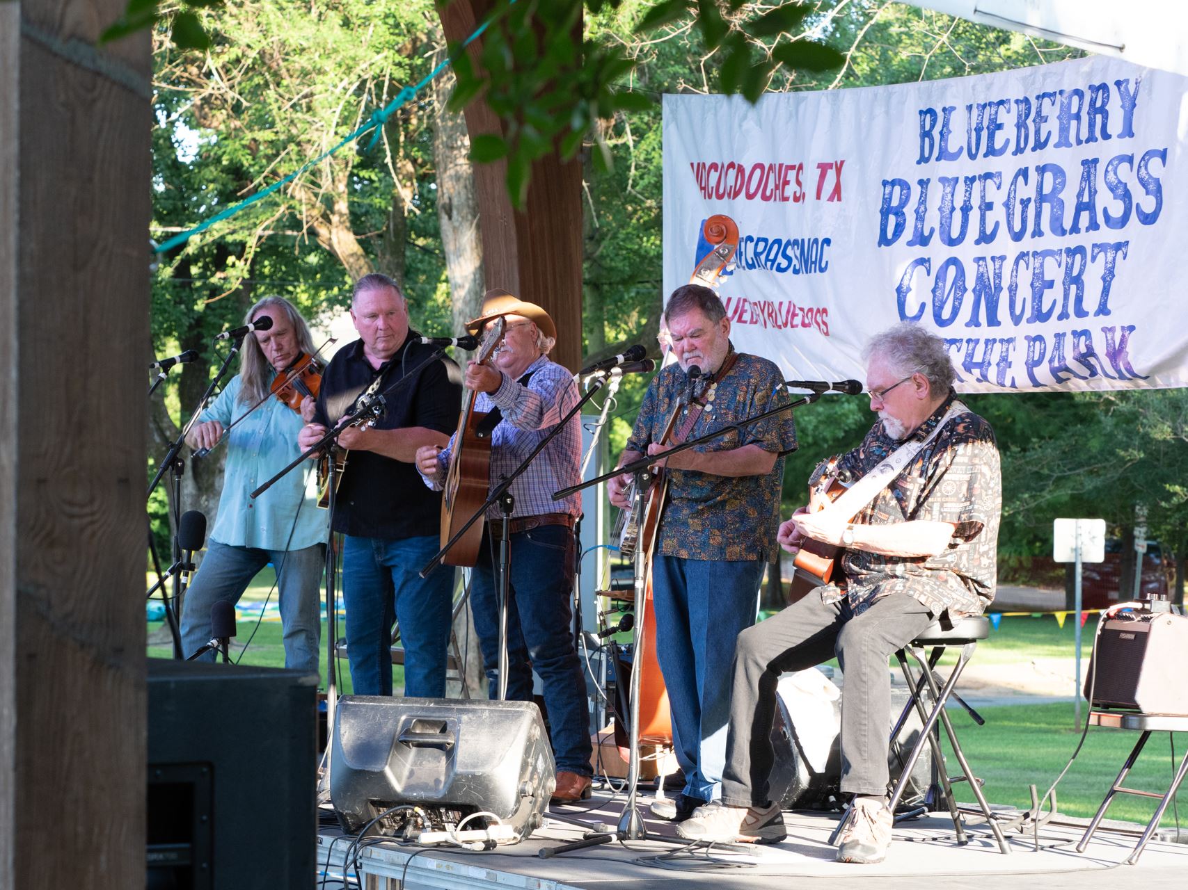 Texas Blueberry Festival