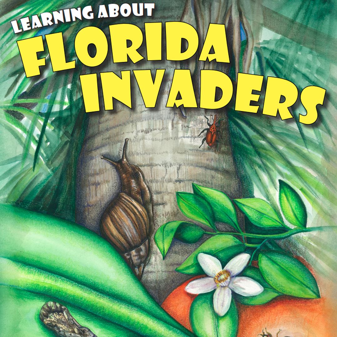 Learning About Florida Invaders