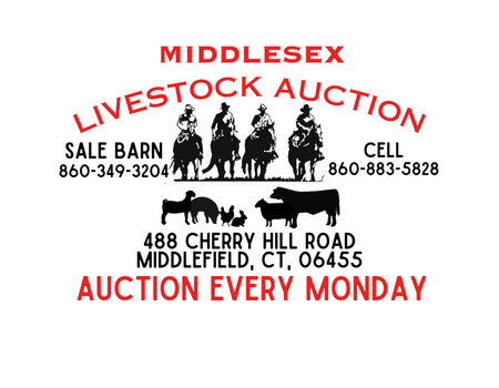 Middlesex Auction