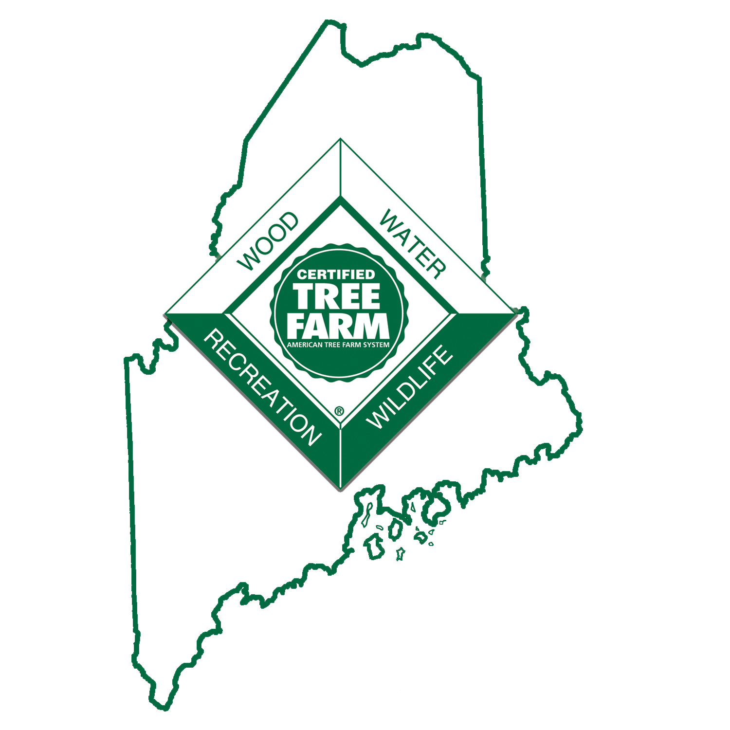 Maine Tree Farm