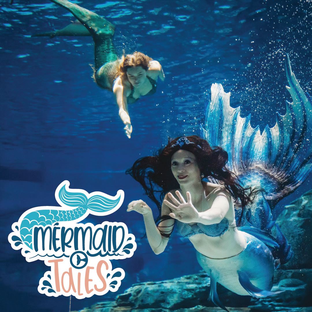 virtual aquarium mermaid