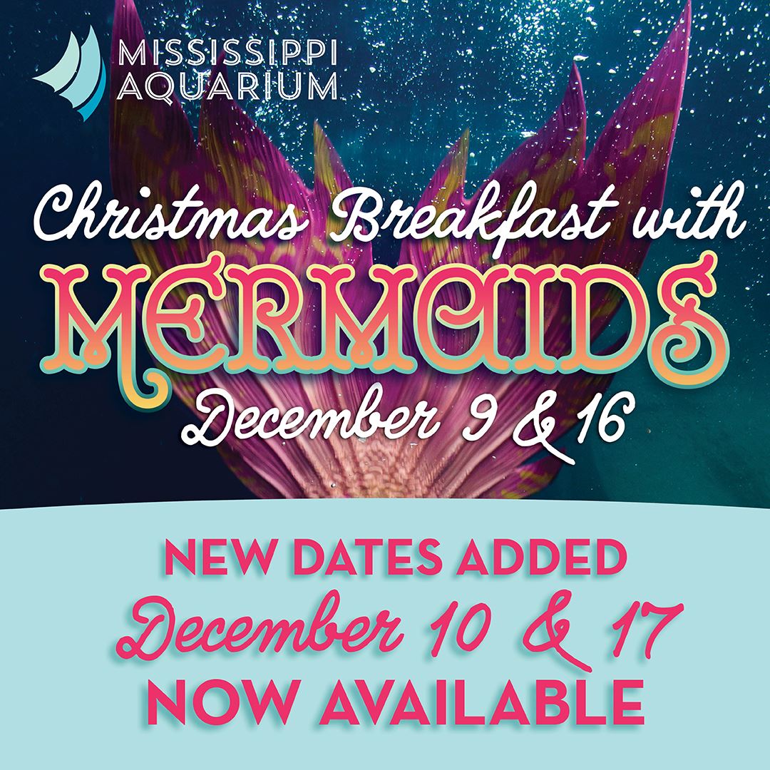 Christmas Breakfast with Mermaids