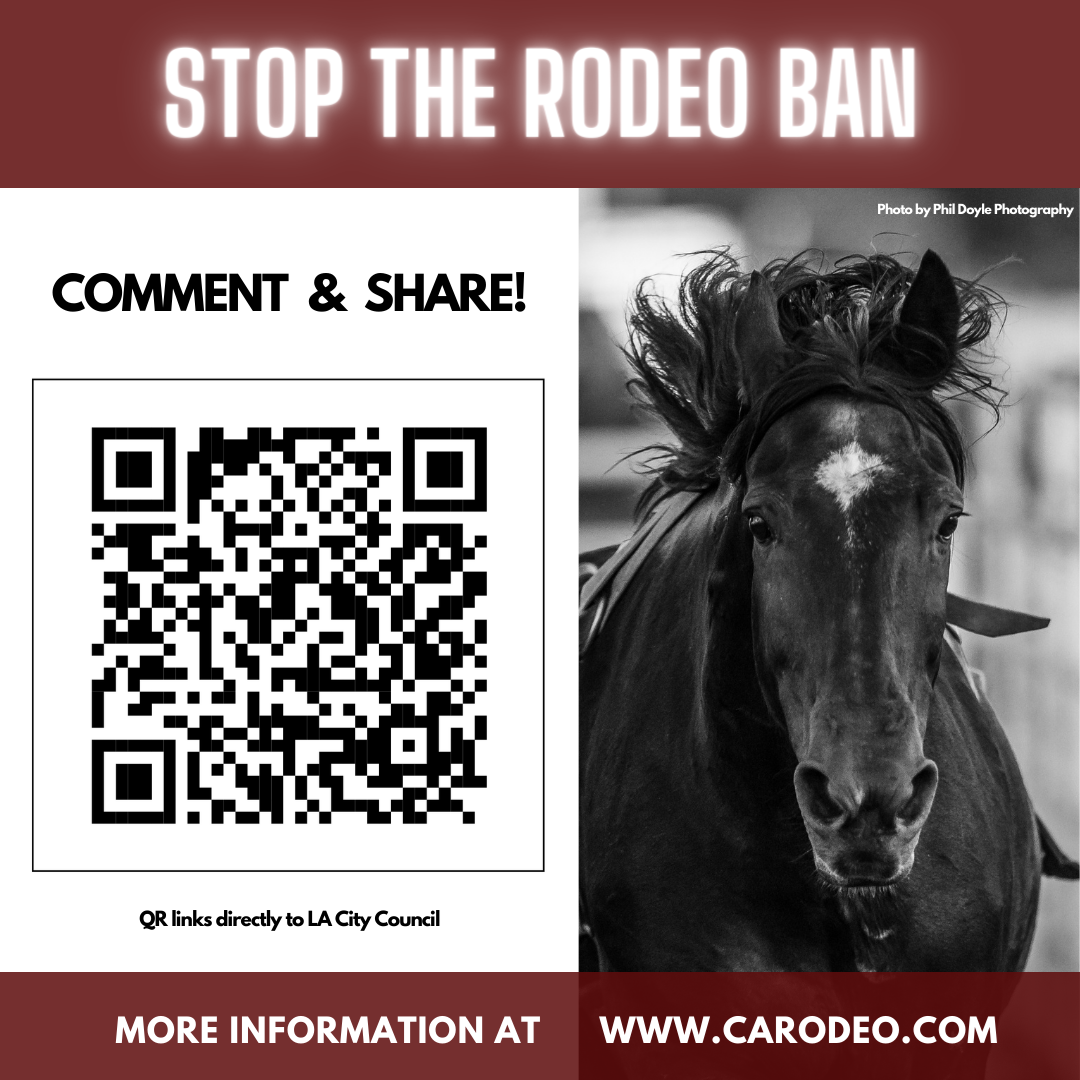 LA City Council Rodeo Ban