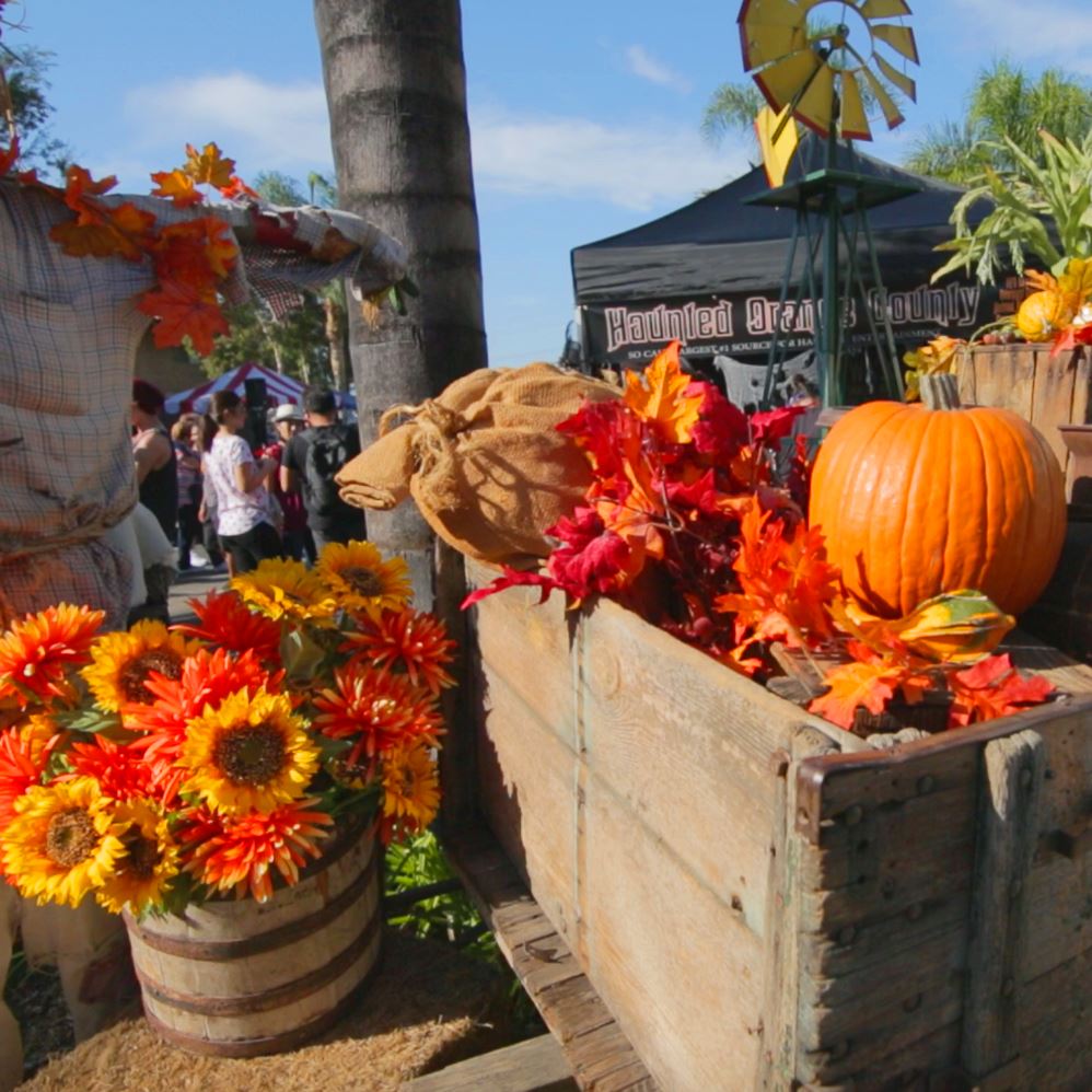 Top Spots for FamilyFriendly Halloween Fun in Orange County