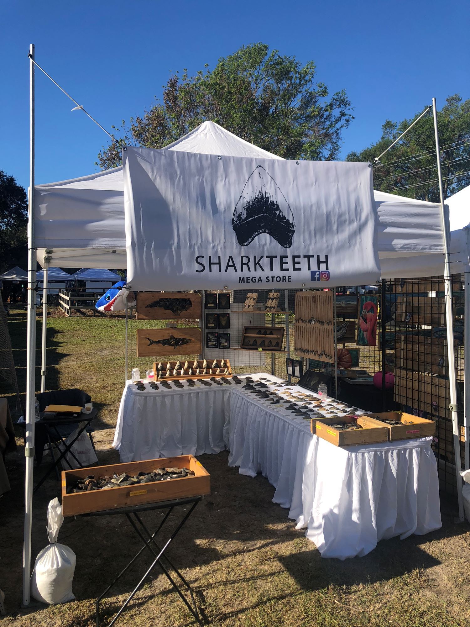 Nc Seafood Festival 2025 Vendors 