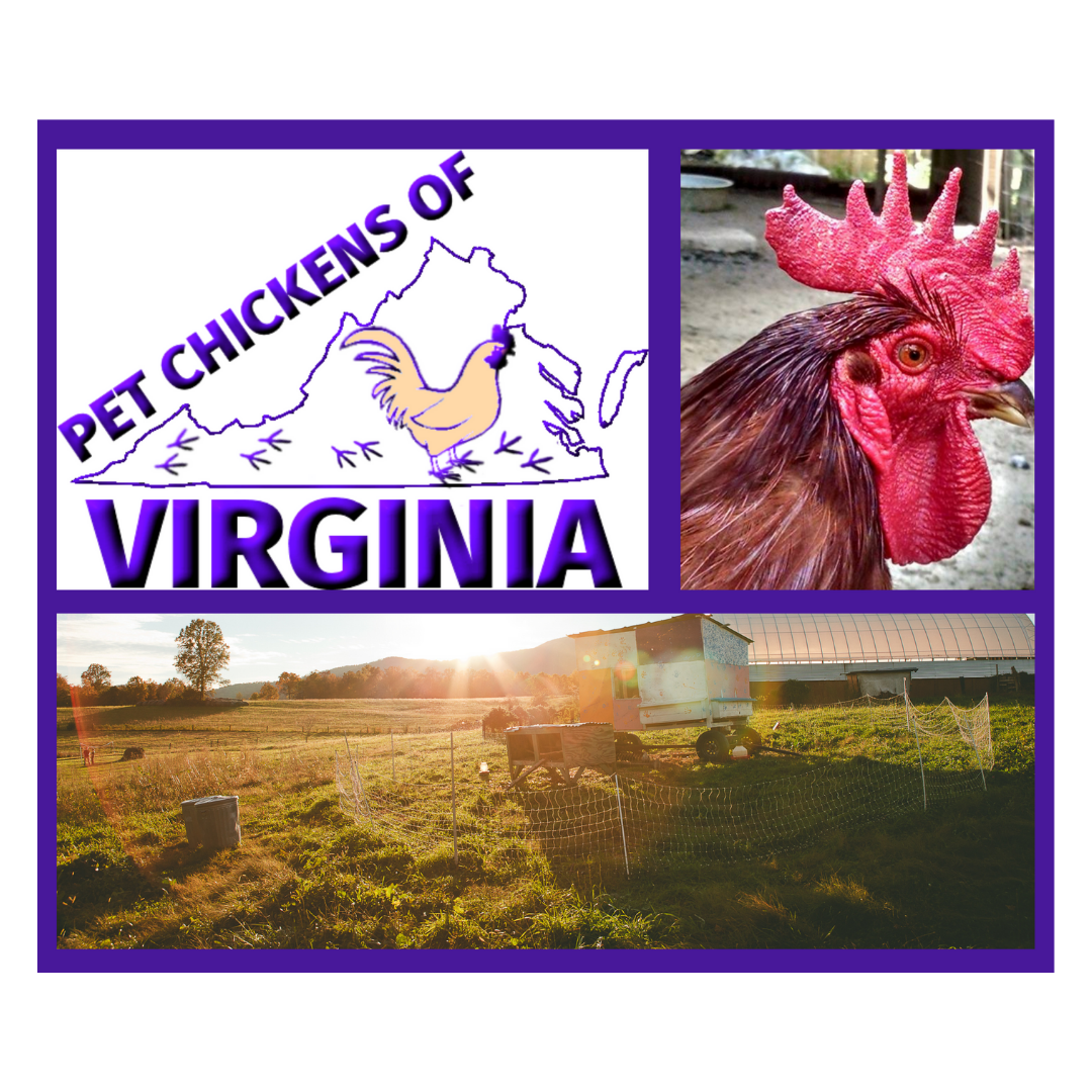 VIRGINIA FARM FESTIVAL - May 1 & 2, 2021