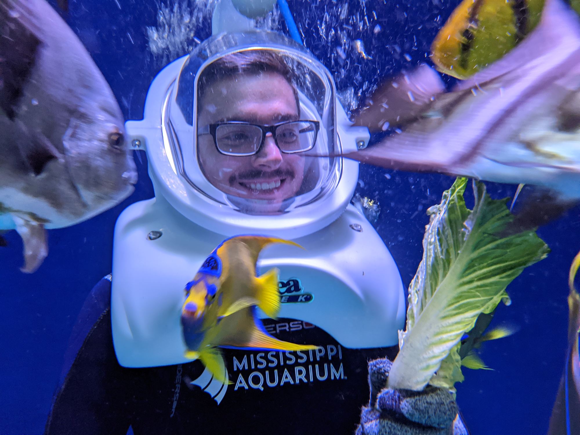 Get inside a Florida Aquarium tank with the SeaTrek experience