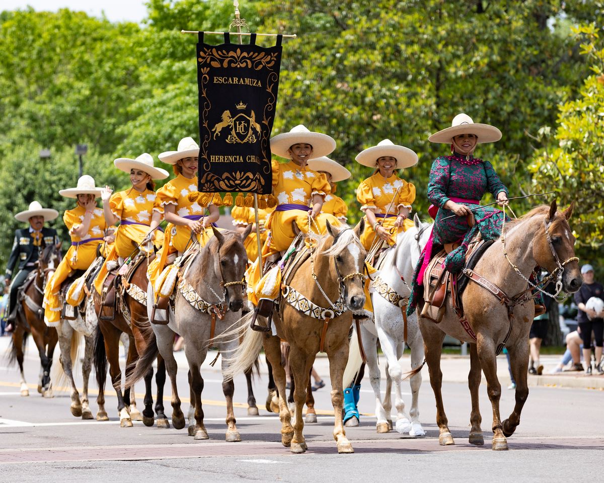 Horse Parade Entries