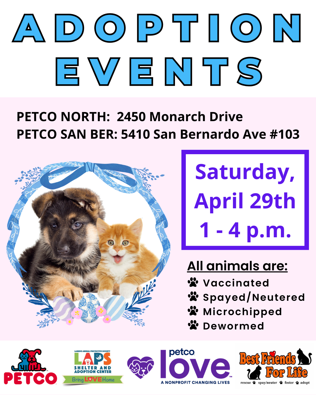 Petco North Adoption Event