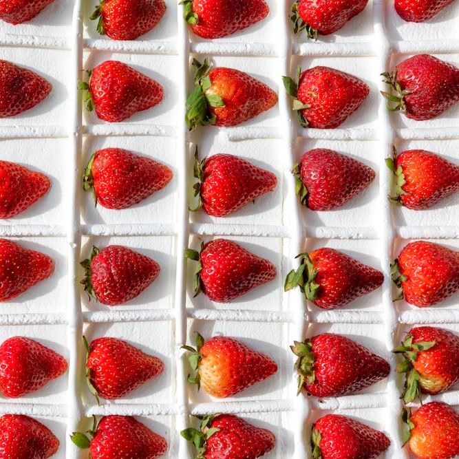 Strawberry Festival