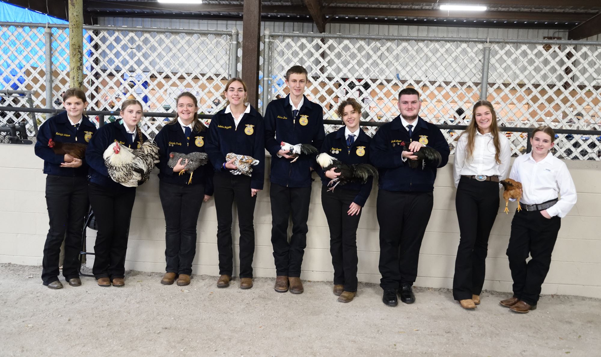 GETTING STARTED SHOWING POULTRY IN 4H AND FFA visual data 4