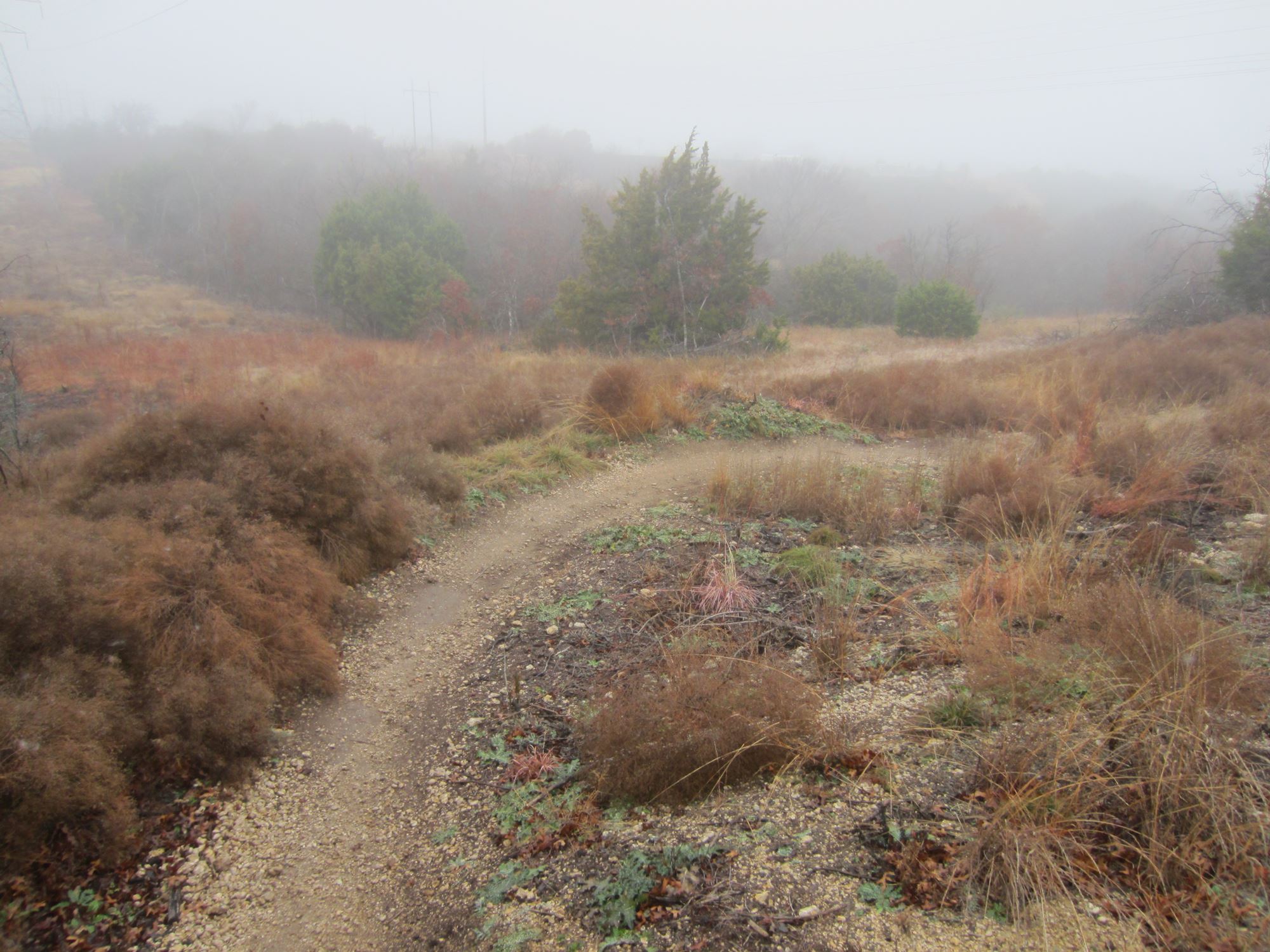 Quanah hill 2024 mtb trail