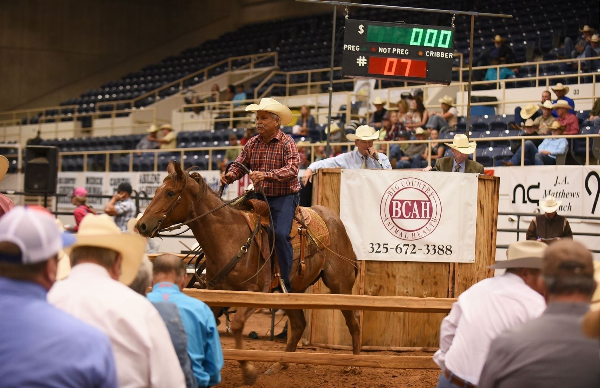 WHC Ranch Horse Sale