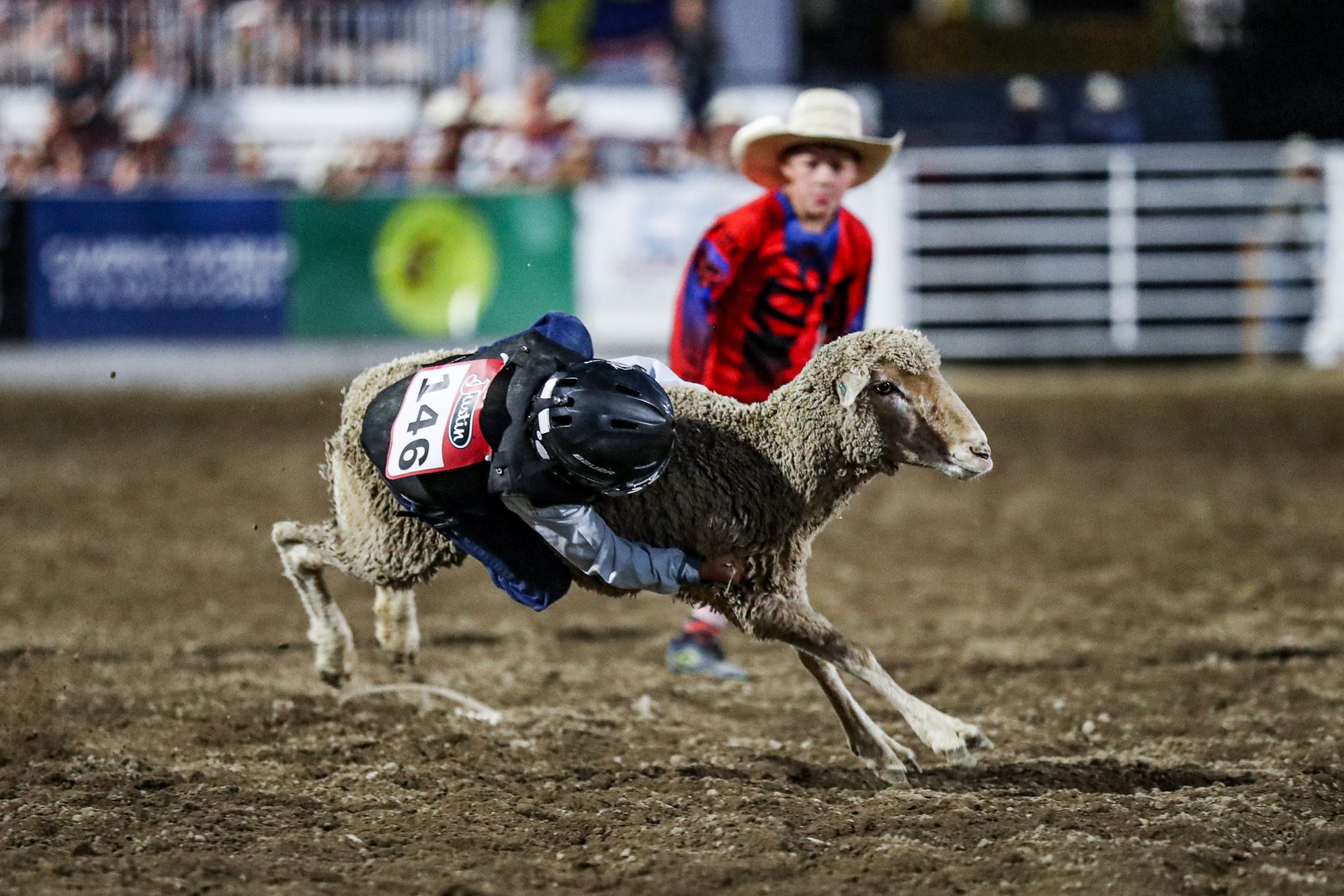 Mutton Bustin 2024