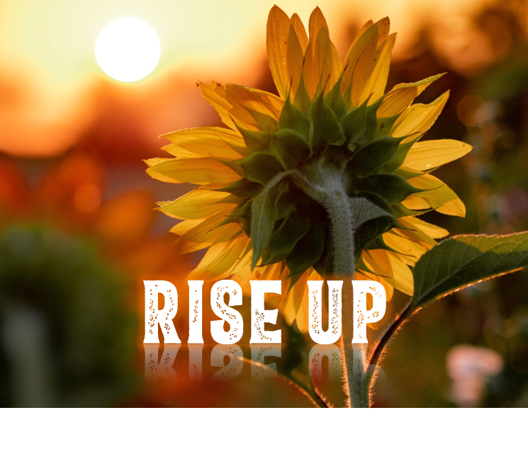 Essex county college departments picture