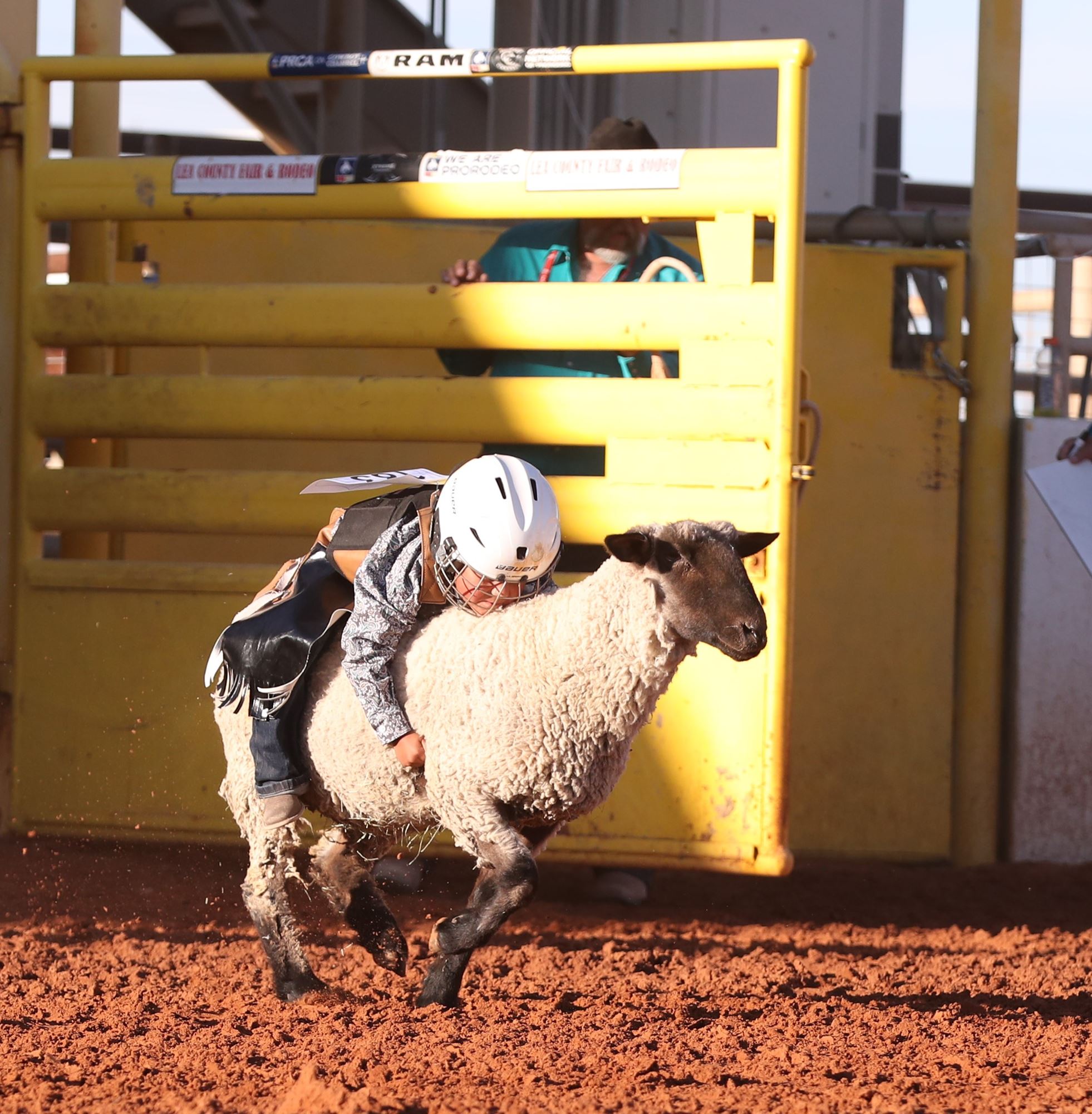 Mutton Bustin'