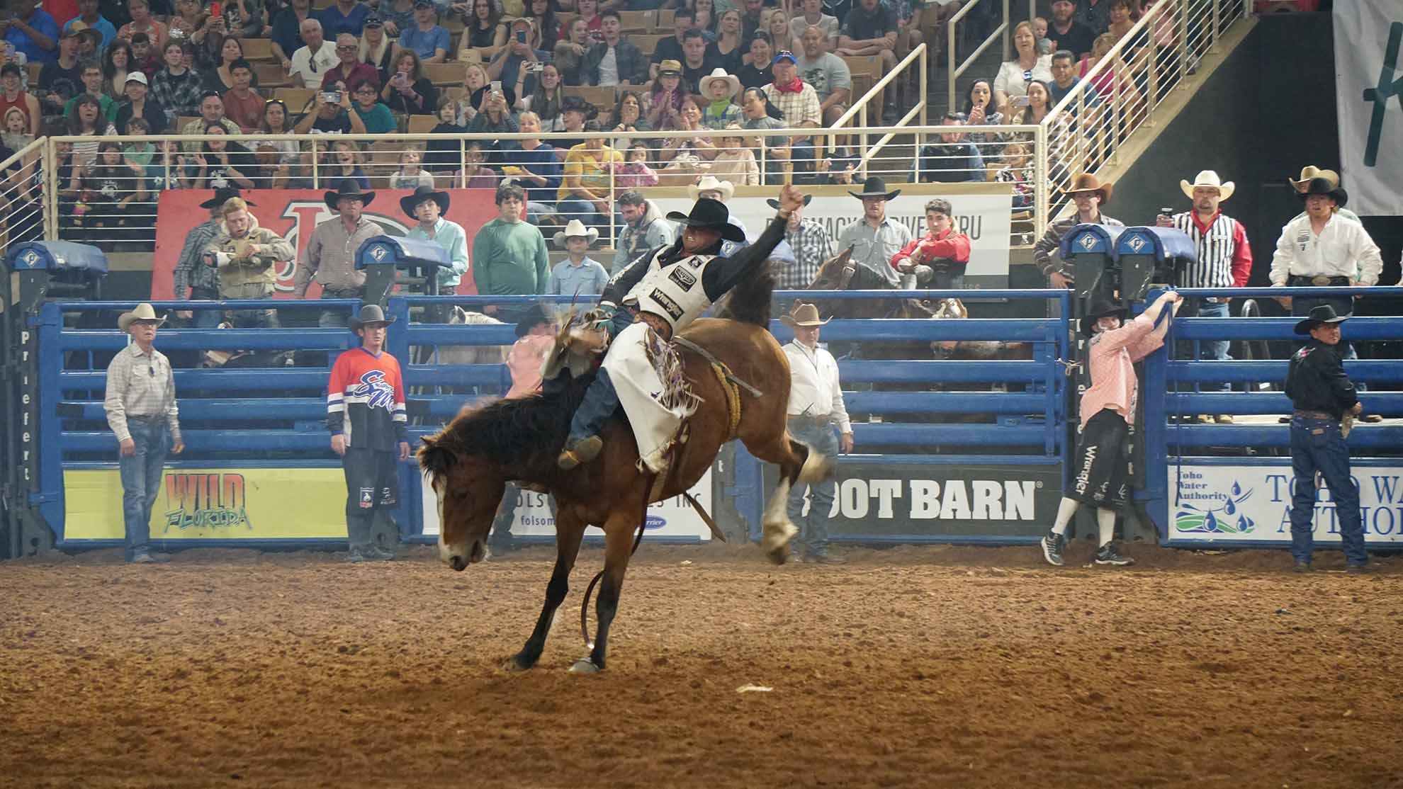 Buy Silver Spurs Rodeo Tickets