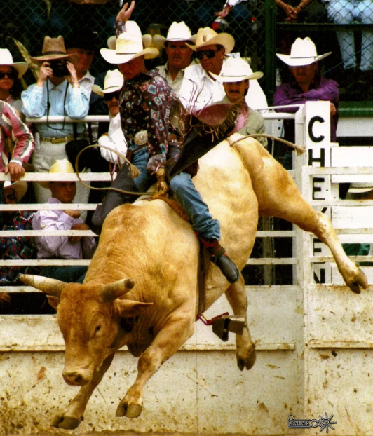 Canterbury Park Rodeo