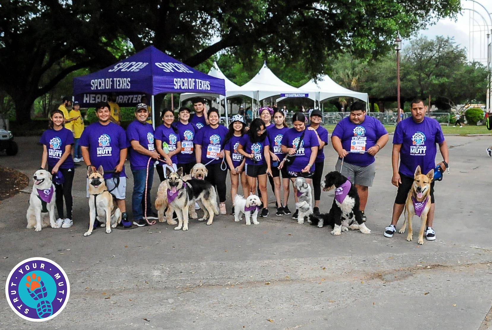 Community Mutt Strut - Pittsburgh 2023